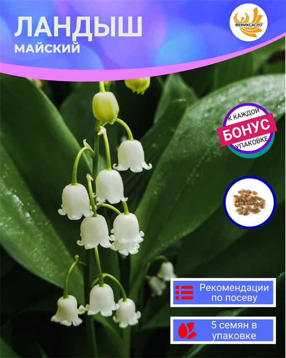 Ландыш Майский семена 5шт + Бонус + Рекомендации по посеву БЕСПЛАТНО! 10302