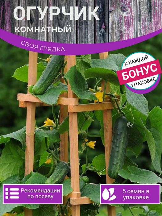 Огурчик Комнатный семена 5шт + Бонус + Рекомендации по посеву БЕСПЛАТНО! 10320