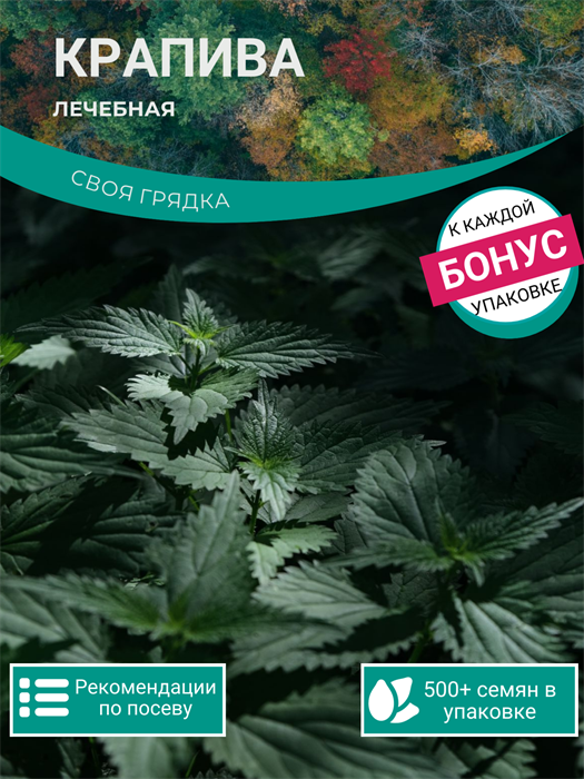 Крапива Лечебная семена более 500 шт + Бонус + Рекомендации по посеву БЕСПЛАТНО! 10321