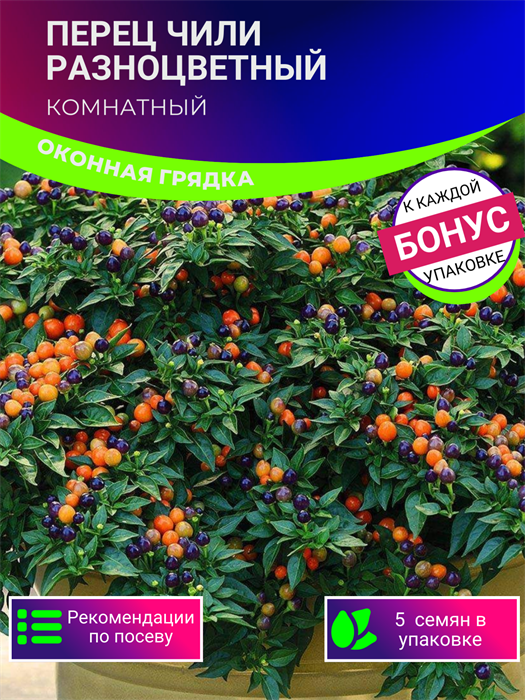 Перец Комнатный Чили Разноцветный семена 5 шт + Бонус + Рекомендации по посеву 10336