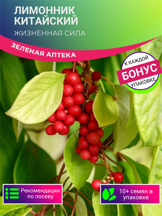 Лимонник Китайский семена 10 шт Жизненная Сила + Бонус + Рекомендации по посадке БЕСПЛАТНО! 10337
