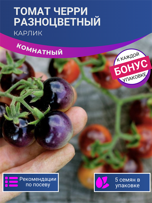 ТОМАТ-КАРЛИК Черри Комнатный Разноцветный семена 5шт + Бонус + Рекомендации по посеву БЕСПЛАТНО! 10339