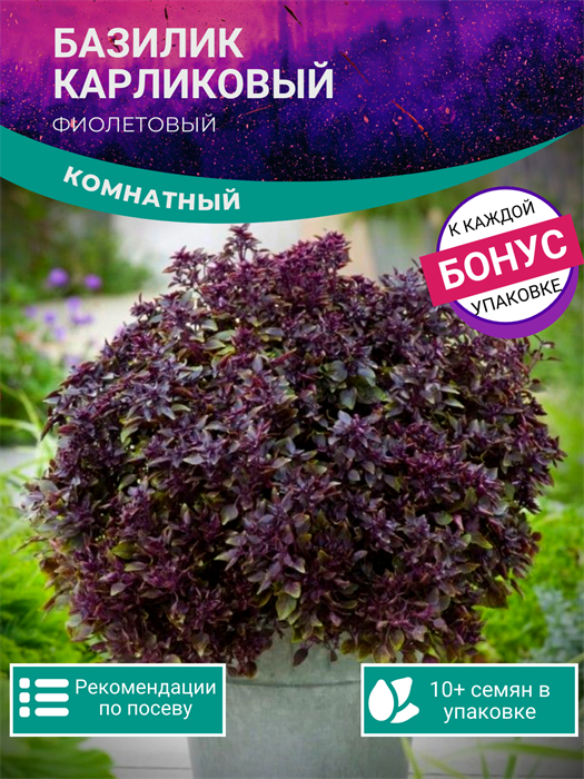 Базилик Комнатный Карлик семена более 10 шт + Бонус + Рекомендации по посеву БЕСПЛАТНО! 10344