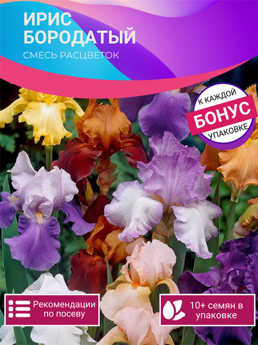 Ирис Бородатый Смесь Окрасок семена 10шт + Бонус + Рекомендации по посадке БЕСПЛАТНО! 10345