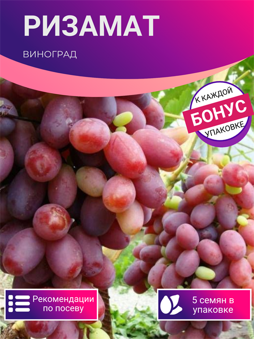 Виноград Ризамат семена 5 шт + Бонус + Рекомендации по посадке БЕСПЛАТНО! 10348