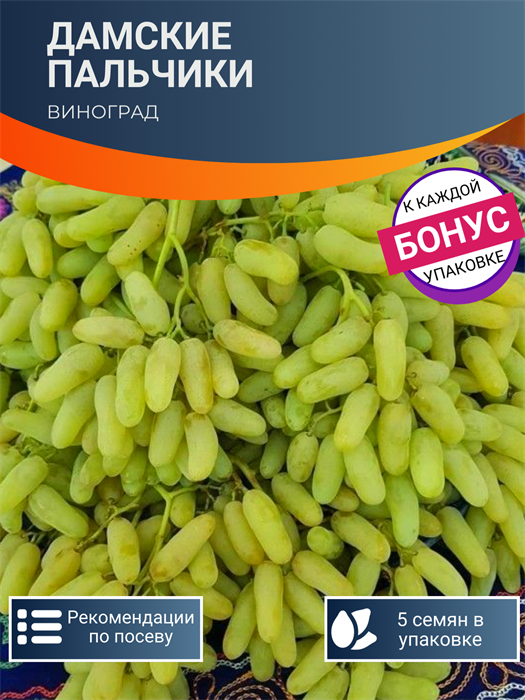 Виноград Дамские Пальчики семена 5 шт + Бонус + Рекомендации по посадке БЕСПЛАТНО! 10349