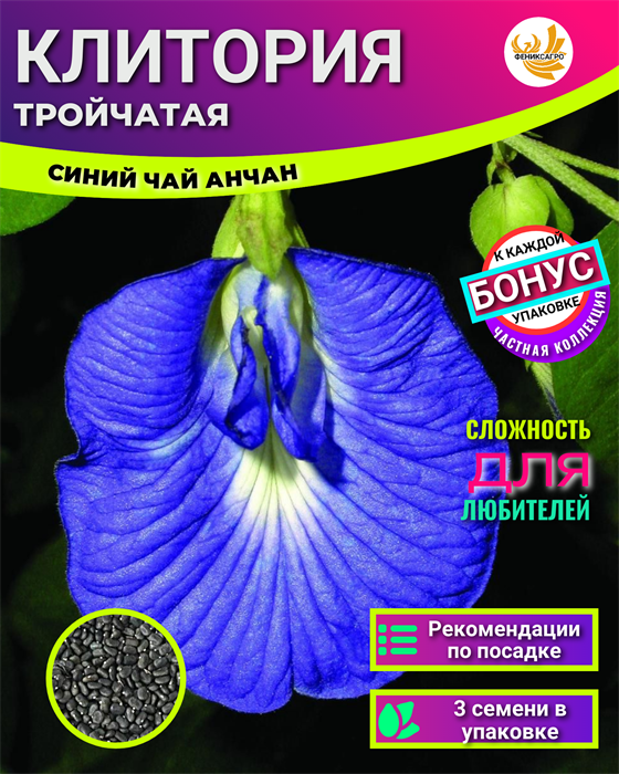 Клитория Тройчатая семена 3шт + Советы по Посеву + Подарок 10040