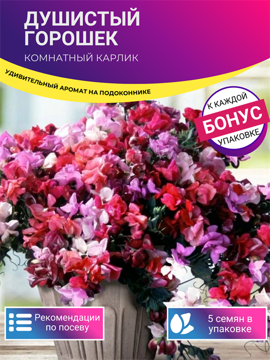 Горошек Душистый Комнатный Карлик семена 5 шт + Бонус + Рекомендации по проращиванию 10355