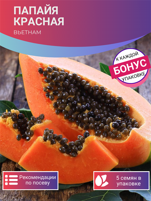 Папайя Красная Вьетнам семена 5 шт + Бонус + Рекомендации по посеву БЕСПЛАТНО! 10360