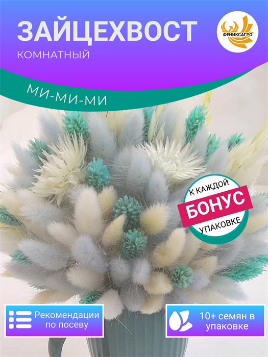 Зайцехвост Комнатный семена 10 шт + Бонус + Рекомендации по проращиванию БЕСПЛАТНО 10362