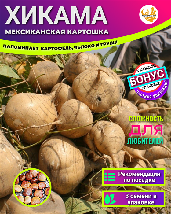 Хикама Мексиканская Картошка семена 3шт + Бонус + Рекомендации по посеву БЕСПЛАТНО! 10041