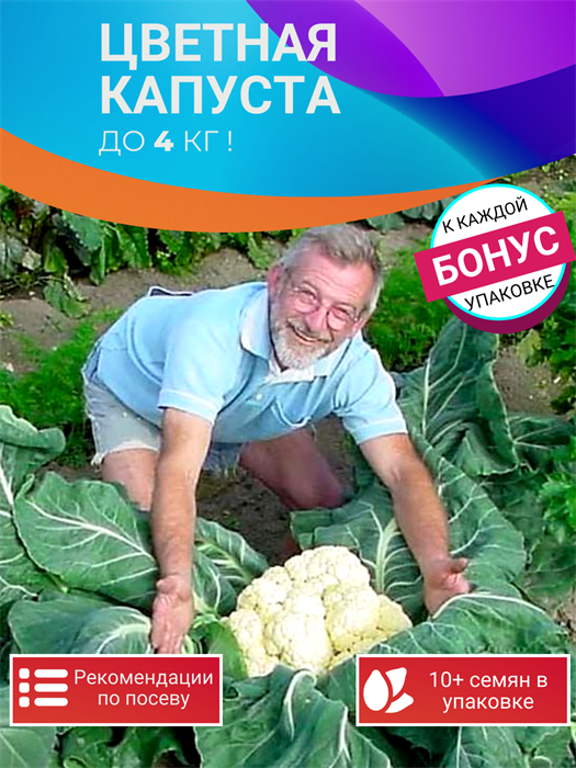 Цветная Капуста ГИГАНТ семена 10 шт + Бонус + Рекомендации по посеву БЕСПЛАТНО! 10368