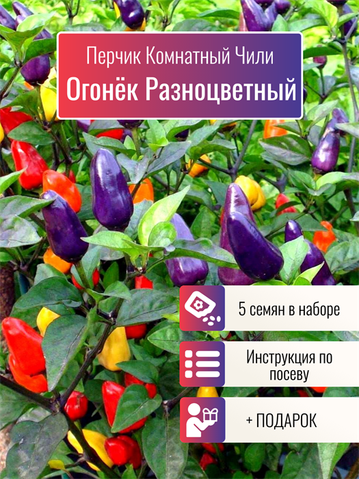 Перчик Комнатный Огонёк Разноцветный семена 5 шт + Бонус + Рекомендации по посеву 10386