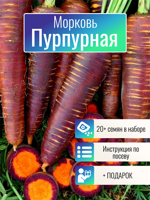 Морковь Пурпурная Супер Витаминная семена более 20шт + Бонус + Рекомендации по посеву БЕСПЛАТНО! 10393