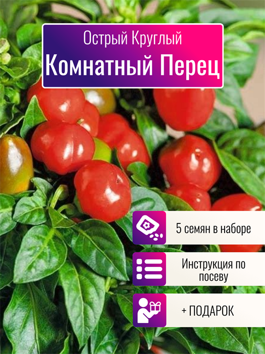 Перец Чили Комнатный круглый Семена 5 шт + Бонус + Рекомендации по посеву БЕСПЛАТНО! 10400