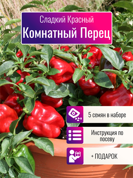 Перец Комнатный Сладкий красный Семена 5 шт + Бонус + Рекомендации по посеву БЕСПЛАТНО! 10401
