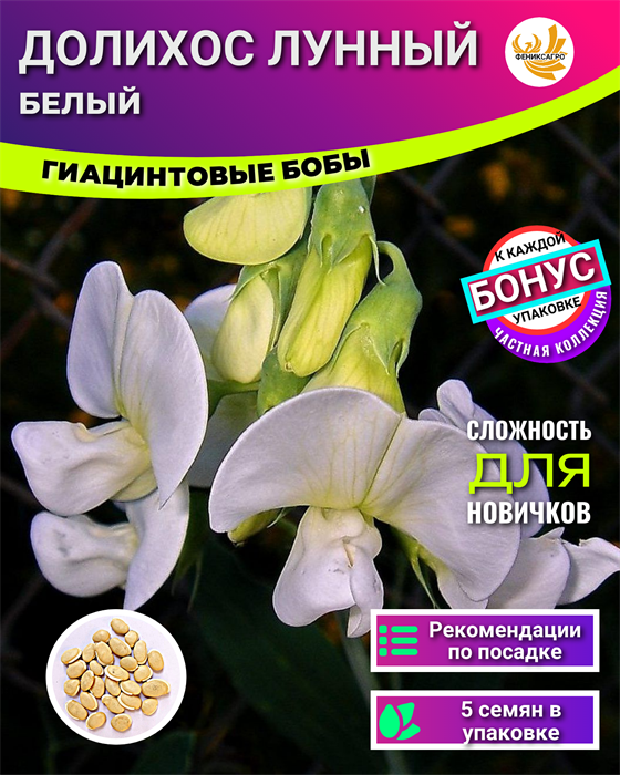Долихос Лунный семена 5 шт + Советы по Посеву + Подарок 10047
