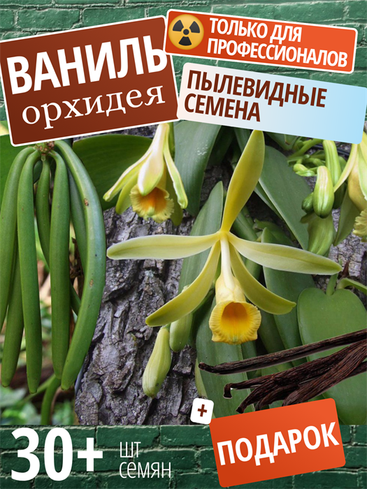 Ваниль Орхидея семена более 30 шт Vanilla planifolia + Бонус + Рекомендации по проращиванию 10413