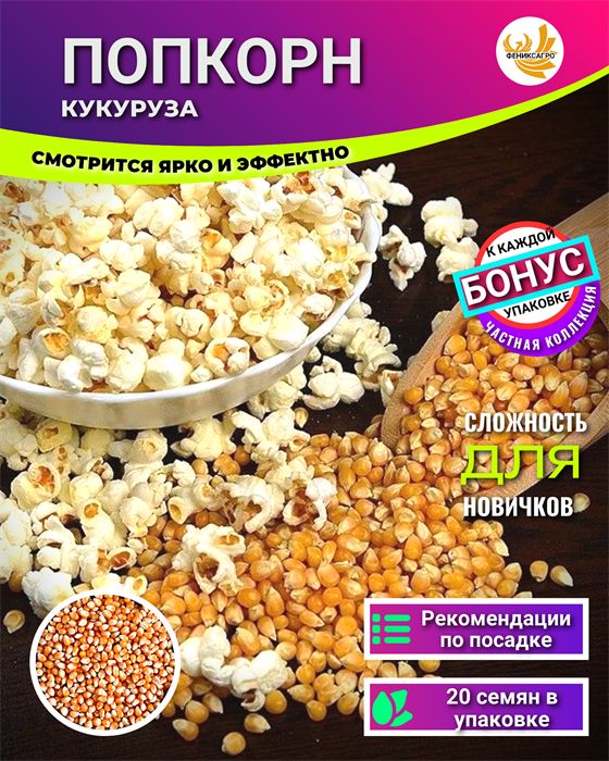 Кукуруза Попкорн семена 20 шт + Бонус + Рекомендации по посадке 10429