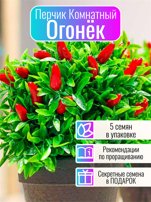 Перчик Комнатный Огонёк семена 5 шт + Бонус + Рекомендации по посеву 10430