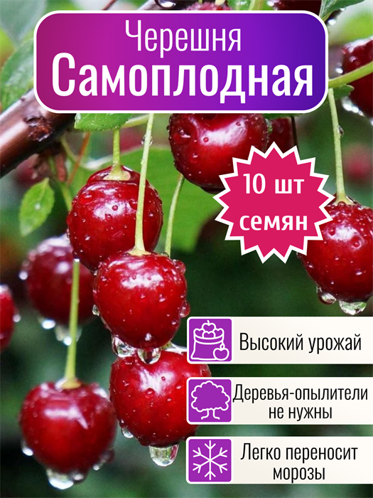 Черешня Самоплодная семена 10 шт + Бонус + Рекомендации по посеву 10434