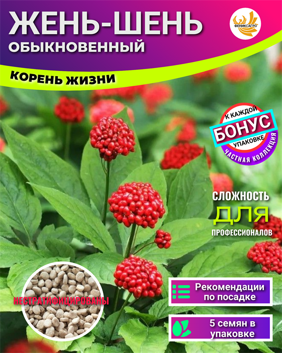 Жень-Шень Корень Жизни семена 5шт + Бонус + Рекомендации по посеву БЕСПЛАТНО! 10050