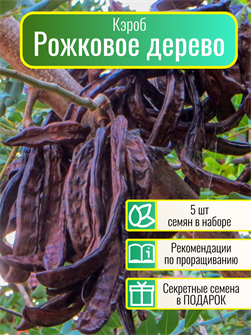 {{photo.Alt || photo.Description || 'Рожковое Дерево Кэроб семена 5 шт + Бонус + Рекомендации по проращиванию'}}