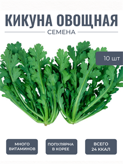 {{photo.Alt || photo.Description || 'Кикуна Овощная семена 10 шт + Бонус + Рекомендации по проращиванию'}}