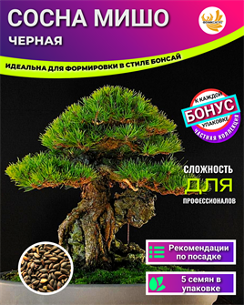 {{photo.Alt || photo.Description || 'Сосна Чёрная МИШО-Семена для Бонсай 5 шт + Бонус + Рекомендации по посеву БЕСПЛАТНО!'}}