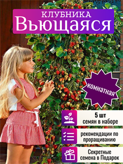 {{photo.Alt || photo.Description || 'Клубника Вьющаяся семена 5шт + Бонус + Рекомендации по проращиванию / Rambling Cascade'}}