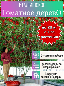 {{photo.Alt || photo.Description || 'Итальянское Томатное Дерево 5 семян + Бонус + Рекомендации по проращиванию!'}}