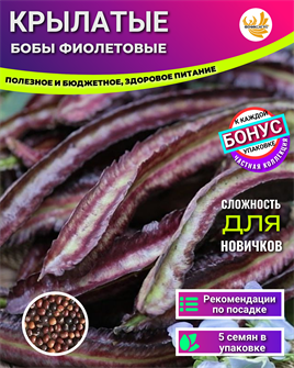 {{photo.Alt || photo.Description || 'Крылатые Бобы Фиолетовые семена 5 шт + Бонус + Рекомендации по проращиванию'}}