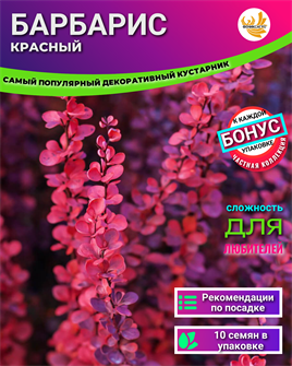 {{photo.Alt || photo.Description || 'Барбарис Красный семена 10шт + Бонус + Рекомендации по посадке БЕСПЛАТНО'}}