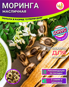 {{photo.Alt || photo.Description || 'Моринга Масличная семена 5шт + Бонус + Инструкции по посеву БЕСПЛАТНО!'}}