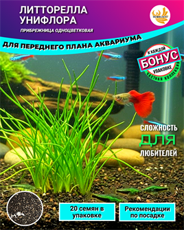 {{photo.Alt || photo.Description || 'Литторелла Унифлора семена 20шт + Бонус + Рекомендации по проращиванию БЕСПЛАТНО'}}