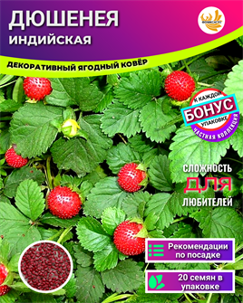 {{photo.Alt || photo.Description || 'Дюшенея Индийская семена 20шт + Бонус + Рекомендации по посадке БЕСПЛАТНО'}}