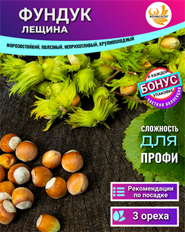 {{photo.Alt || photo.Description || 'ФУНДУК лещина 3 шт ореха для посадки + Бонус + Рекомендации по проращиванию БЕСПЛАТНО'}}