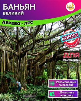 {{photo.Alt || photo.Description || 'Великий Баньян Дерево-Лес семена 20шт + Бонус + Инструкции по посеву БЕСПЛАТНО!'}}