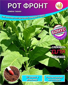 {{photo.Alt || photo.Description || 'Табак РОТ ФРОНТ семена 50 шт + Бонус + Рекомендации по проращиванию БЕСПЛАТНО!'}}