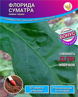 {{photo.Alt || photo.Description || 'Табак ФЛОРИДА СУМАТРА семена 50 шт + Бонус + Рекомендации по проращиванию БЕСПЛАТНО!'}}