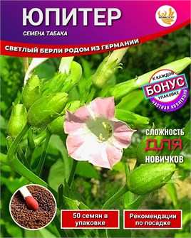 {{photo.Alt || photo.Description || 'Табак ЮПИТЕР семена 50 шт + Бонус + Рекомендации по проращиванию БЕСПЛАТНО!'}}