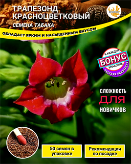 {{photo.Alt || photo.Description || 'Табак ТРАПЕЗОНД КРАСНОЦВЕТКОВЫЙ семена 50 шт + Бонус + Рекомендации по проращиванию БЕСПЛАТНО!'}}