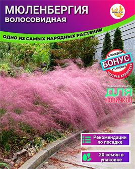 {{photo.Alt || photo.Description || 'Мюленбергия семена более 20 шт + Бонус + Рекомендации по посеву'}}