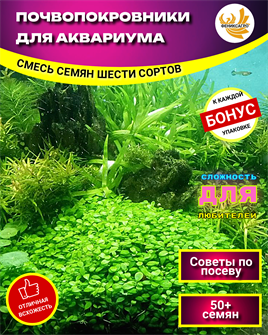 {{photo.Alt || photo.Description || 'Почвопокровники для Аквариума семена 50шт + Бонус + Рекомендации по проращиванию БЕСПЛАТНО'}}