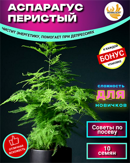 {{photo.Alt || photo.Description || 'Аспарагус Перистый Семена 10 шт + Бонус + Рекомендации по посеву БЕСПЛАТНО!'}}