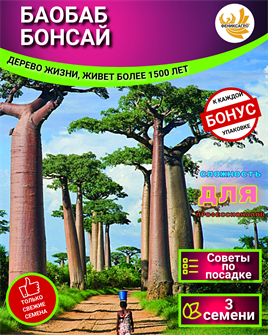 {{photo.Alt || photo.Description || 'БАОБАБ Бонсай семена 3 шт + Советы по Посеву + Подарок'}}