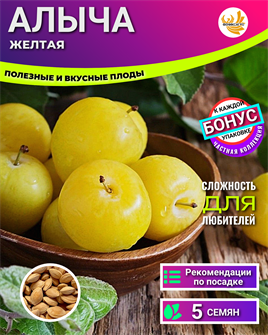 {{photo.Alt || photo.Description || 'Алыча Желтая семена 5 шт + Бонус + Рекомендации по посеву'}}