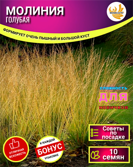 {{photo.Alt || photo.Description || 'МОЛИНИЯ Голубая Семена 10 шт + Бонус + Рекомендации по посеву БЕСПЛАТНО!'}}