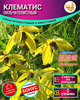 {{photo.Alt || photo.Description || 'Клематис Пильчатолистный Семена 5 шт + Бонус + Рекомендации по посеву БЕСПЛАТНО!'}}