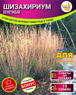 {{photo.Alt || photo.Description || 'ШИЗАХИРИУМ Венечный Семена 10 шт + Бонус + Рекомендации по посеву БЕСПЛАТНО!'}}